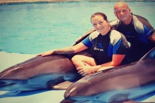 Swim with dolphins in a pool