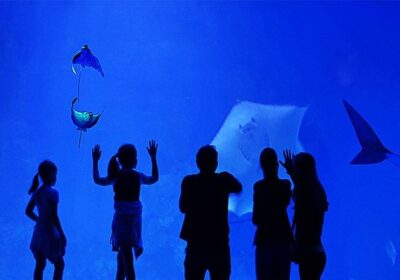 Grand Aquarium Hurgada