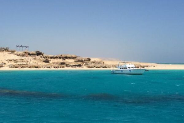 Abu Dabbab Beach – Swim with Dugongs & Turtles from Hurghada