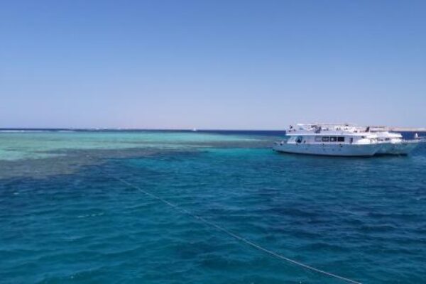 Abu Dabbab Beach – Swim with Dugongs & Turtles from Hurghada