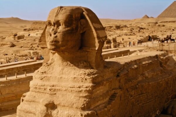 Cairo and Pyramids Day Trip by bus
